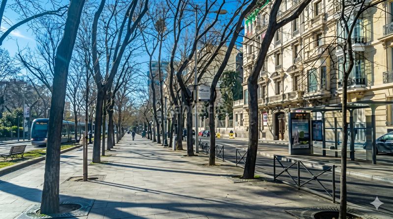 Foto d2b6a16f-c7fe-460c-8584-f8d65b01dc09. Xalet a Hispanoamérica-Bernabéu Madrid