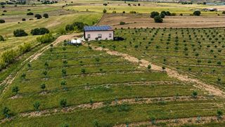 Mas à Almorox. ^**^finca agrícola y de recreo en toledo – 17 hectáreas con casa