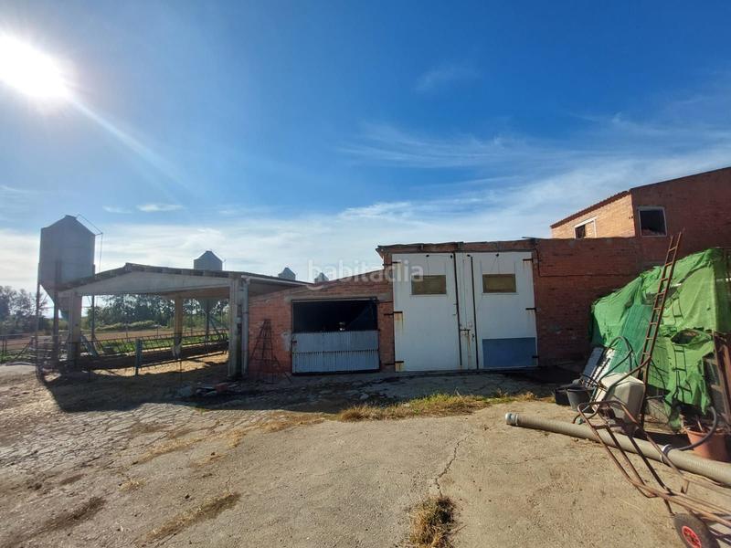 Foto 0539b9cc-b557-4d66-87cb-eeca740a03df. Fondo rustico in Benavent de Segrià