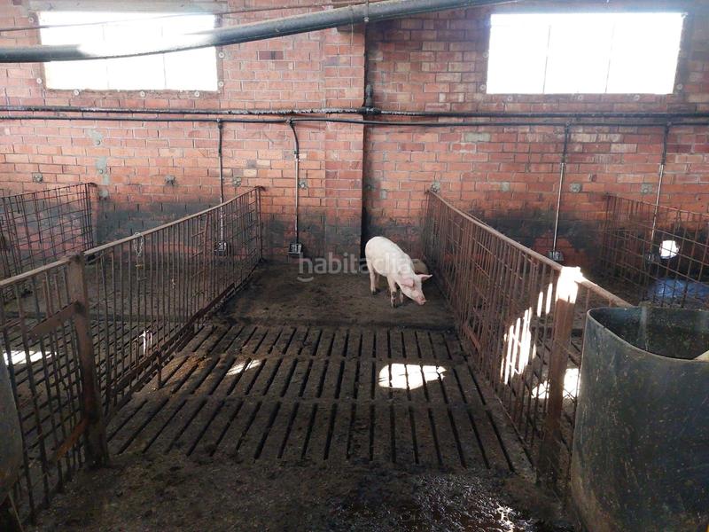 Foto 0c549c8d-62ea-4e88-95d8-883140bc7db1. Fondo rustico in Benavent de Segrià