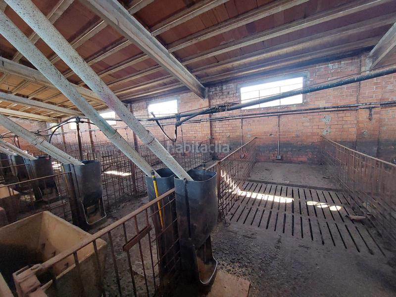 Foto 1d152df2-81d3-4e92-a48b-d7b36df6cbed. Fondo rustico in Benavent de Segrià