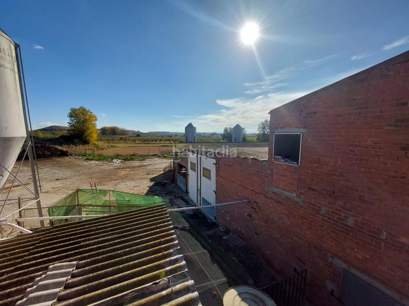 Foto 1fe01975-200f-44d2-a949-2774ab27e691. Fondo rustico in Benavent de Segrià