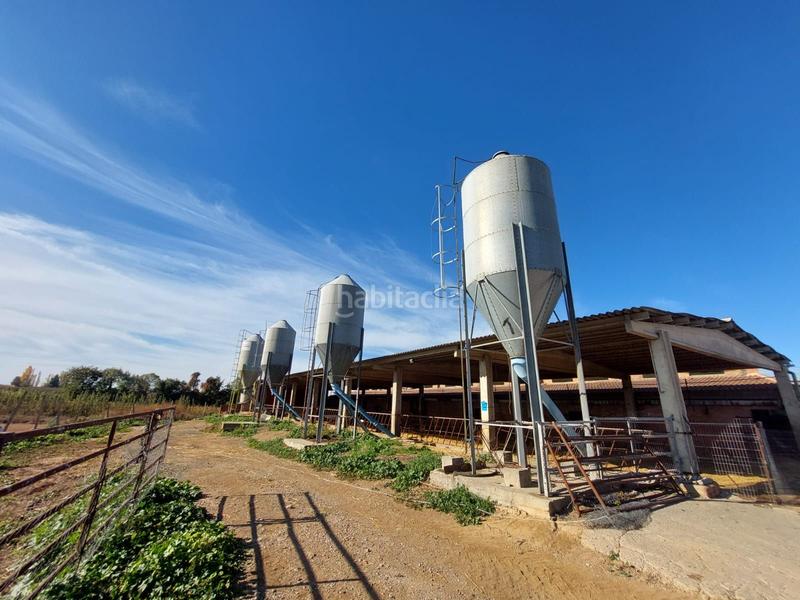 Foto 2f11a089-990d-48d2-87ad-fca22408bf94. Fondo rustico in Benavent de Segrià