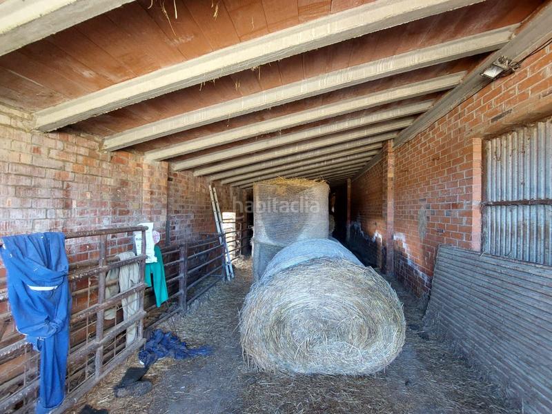 Foto 38a233e4-3531-4259-a2ed-b1510ed84b2e. Fondo rustico in Benavent de Segrià