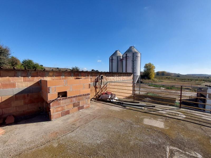 Foto 71dfa67b-de04-4320-af10-bd889d86fc7c. Fondo rustico in Benavent de Segrià