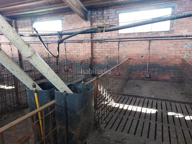 Foto 7c96be9d-b607-43a6-bfd9-d23cea526c36. Fondo rustico in Benavent de Segrià