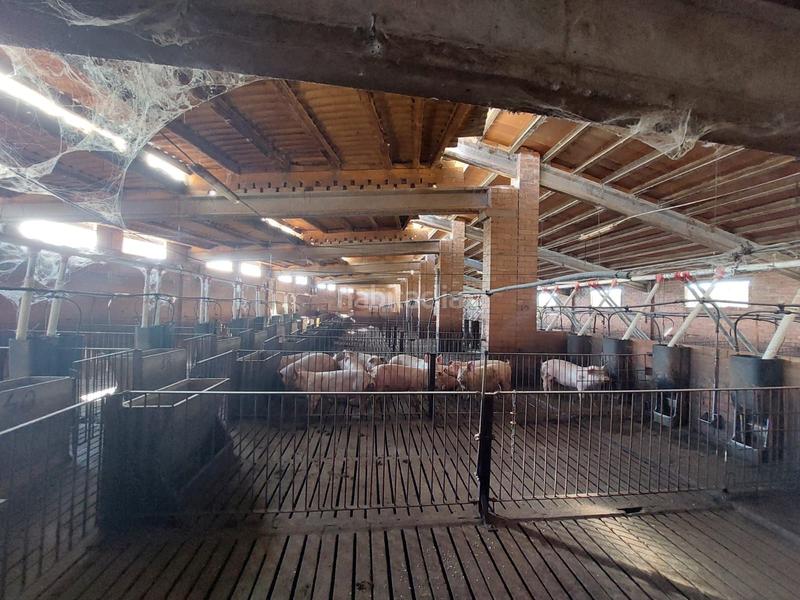 Foto 8de62dc8-4499-442a-8a32-72d685f5f534. Fondo rustico in Benavent de Segrià