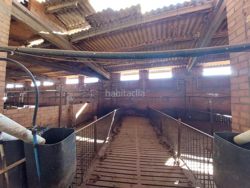 Foto 99688de5-19e3-4eb8-91bc-a6e6722556fd. Fondo rustico in Benavent de Segrià