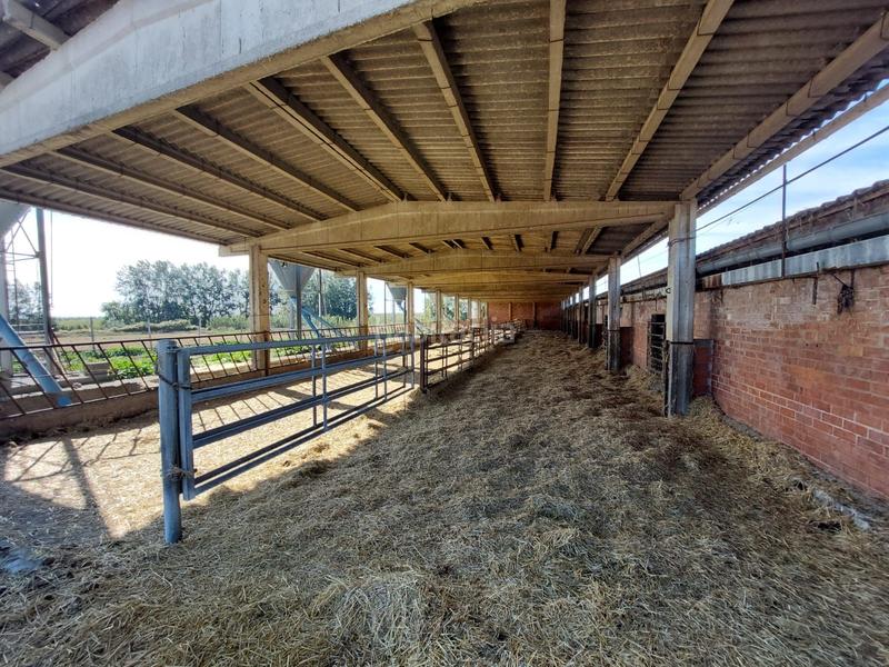 Foto b14e3f98-3b07-473c-853b-90a55d2ad636. Fondo rustico in Benavent de Segrià