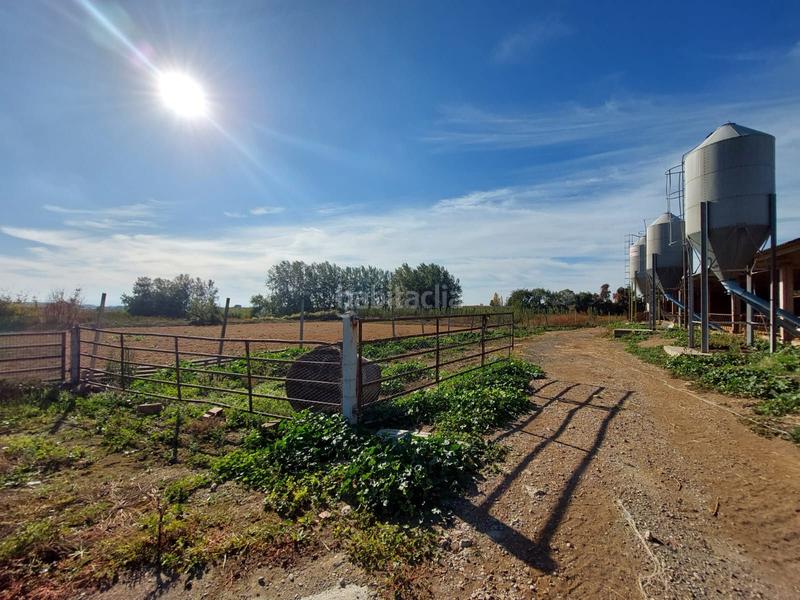 Foto c283f67e-d820-42cd-8214-355cc18c0df7. Fondo rustico in Benavent de Segrià