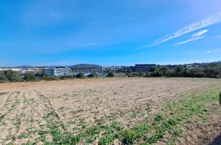 Propriété à Manacor Centre