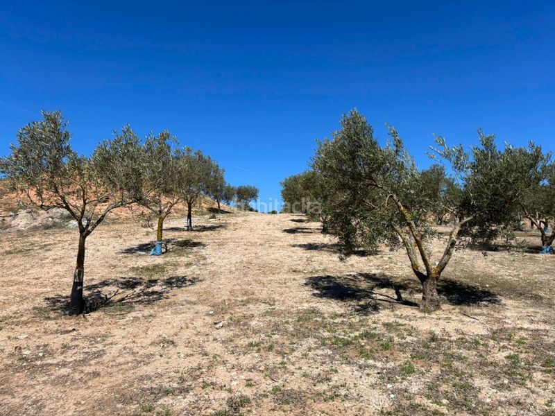 Foto 00e55f74-fed2-46cd-adf9-d6c02a5aff4e. Masia amb piscina a Campo de Criptana