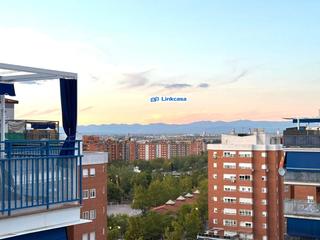 Pis  Urbanizacion nuevo versalles. tico de 3 dormitorios, 2 baos y terraza con ascensor en la zon