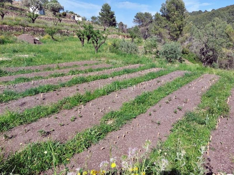 Foto 1d32adbd-d066-44f7-954c-ca22133ace8a. Haus in Xaló