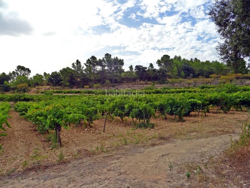 Foto 08803c35-d866-4f32-ac19-41b23e3d7f59. Business premise in Xaló