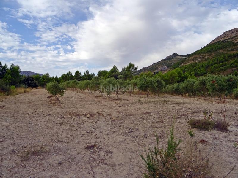 Foto 110ee85a-baa7-4936-9313-72aeb1a7154b. Business premise in Xaló