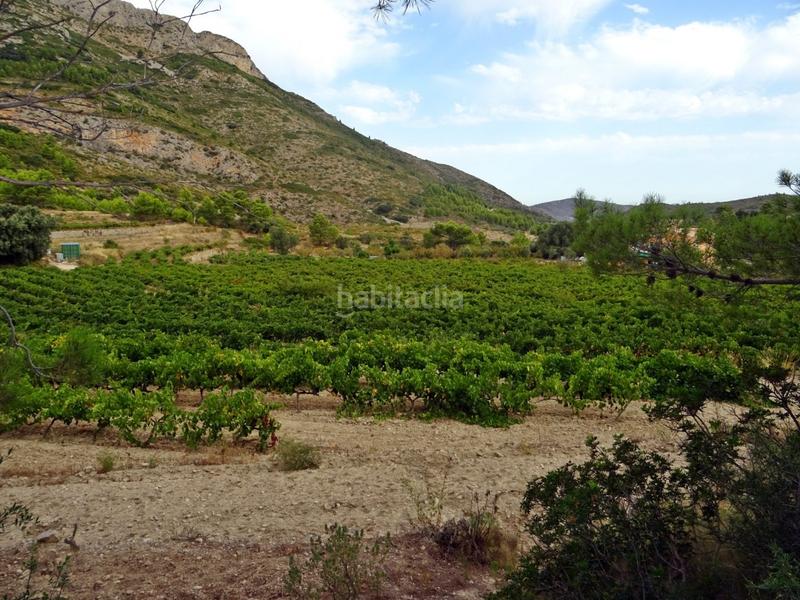 Foto 3c7d9be4-9906-4d64-8691-072a22d68b49. Business premise in Xaló