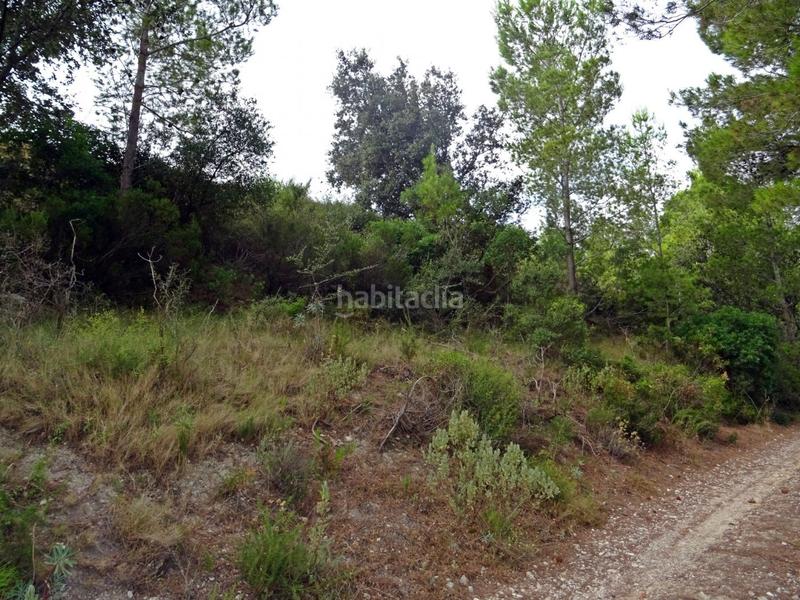 Foto 5721c498-e109-44d6-aa2c-e50ee3f6010e. Business premise in Xaló