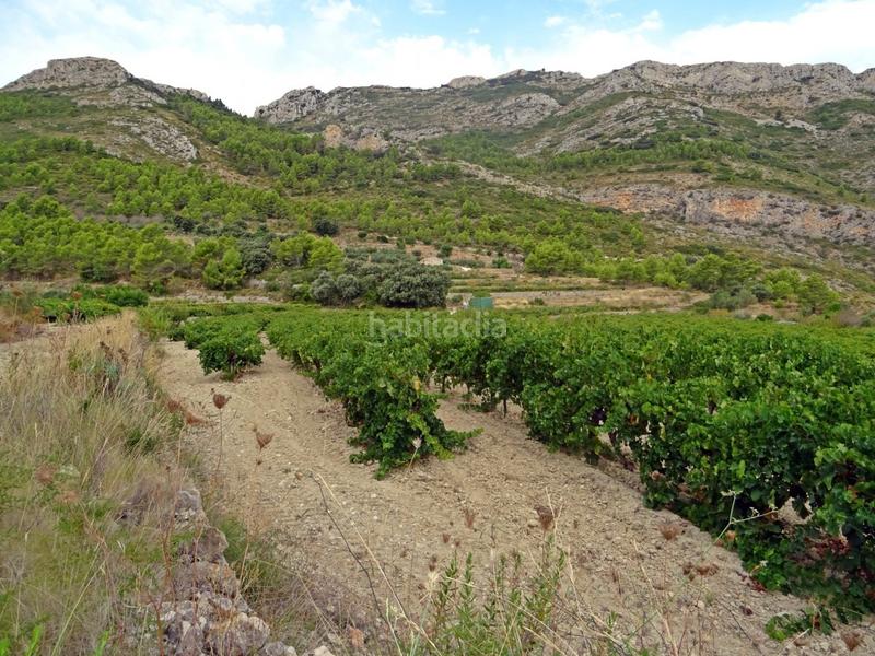 Foto 7445c425-a25c-4598-9ee8-e417665e3650. Business premise in Xaló