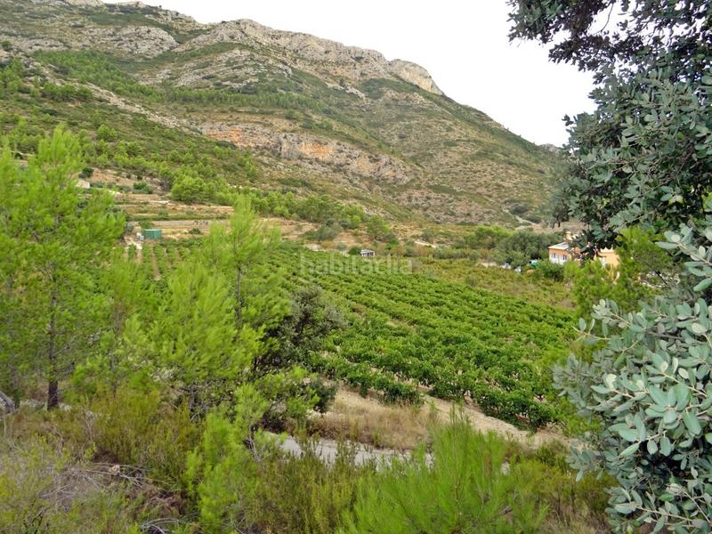 Foto 7a92e02d-2336-4f28-916a-0aad561a9370. Business premise in Xaló