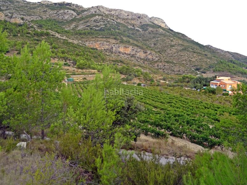 Foto 82b75307-849f-40a8-95dd-c9781f980031. Business premise in Xaló