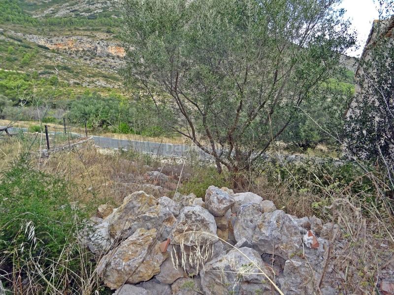 Foto a46a2d05-81f1-439a-b5be-312ba6d490c9. Business premise in Xaló