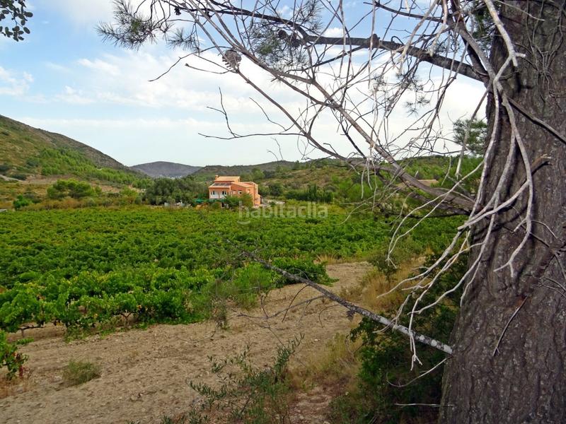 Foto ab09b4de-5c22-4354-9dcb-4719b607c326. Business premise in Xaló