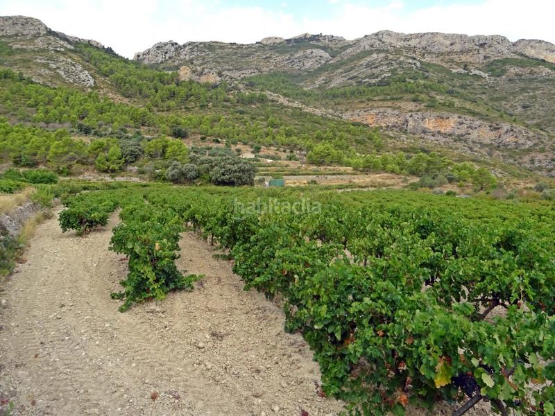 Foto b70a90a9-cbdd-4fca-b82c-2ead2eec2d52. Business premise in Xaló