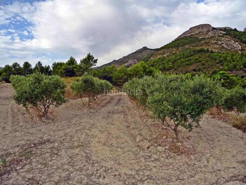 Foto ce8e9e9e-3fda-40dd-a63d-db7a74ac5526. Business premise in Xaló