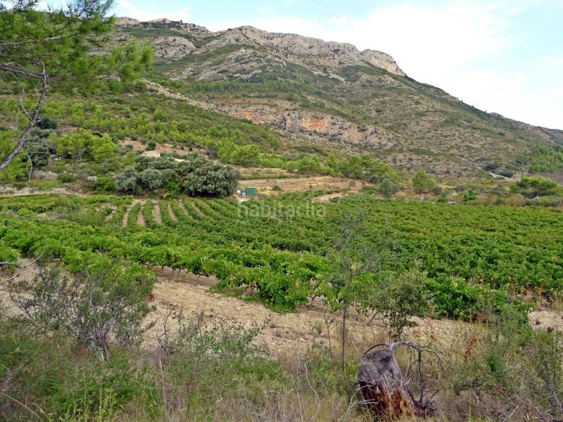 Foto ea4fbcb4-e26b-47cb-b24b-eee5c7a2ef66. Business premise in Xaló