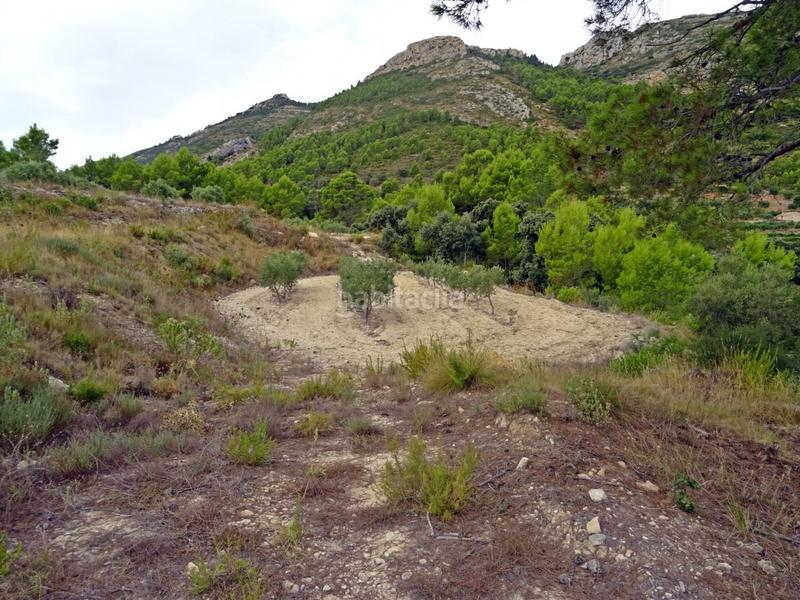 Foto f080f6af-02af-47be-8781-74238d25390c. Business premise in Xaló