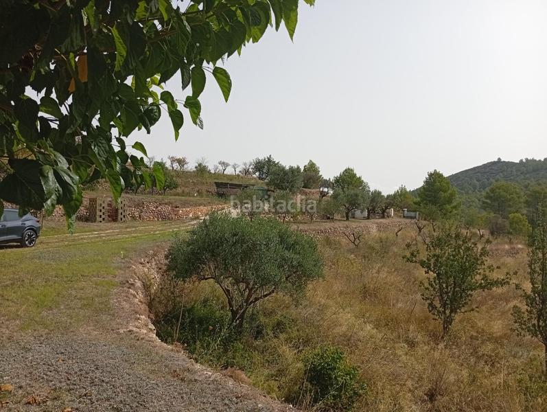Foto 907f7360-40dd-4e8f-a075-554b8b88c15f. Casa  de campo en jalon en Xaló