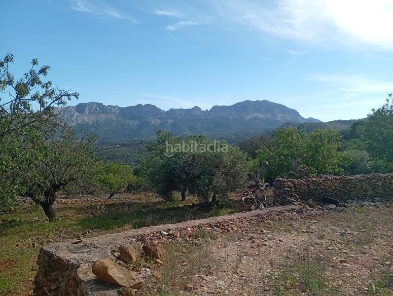 Foto f5209205-95dd-4888-83e4-5d5d78e65ef2. Casa amb aparcament a Llíber