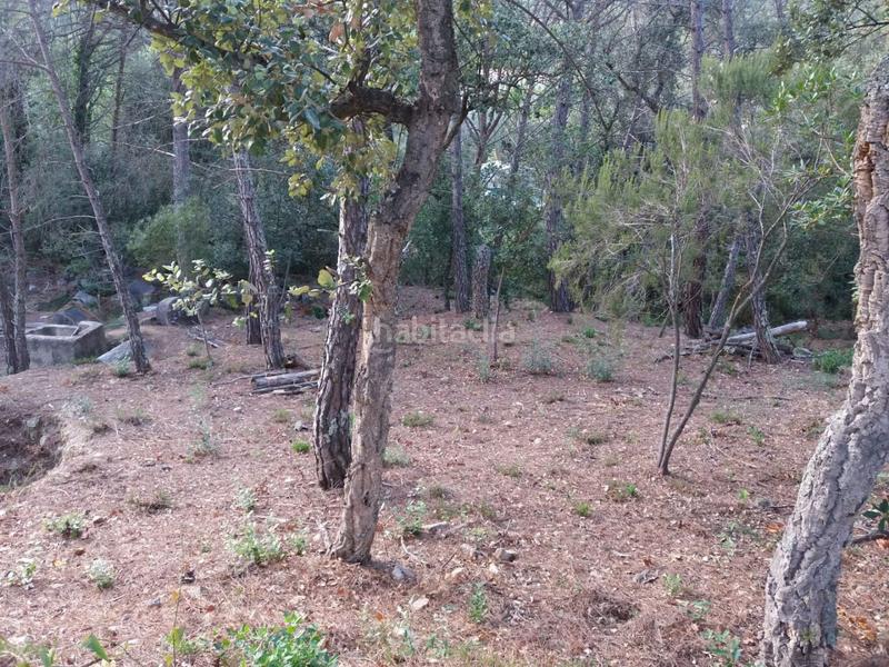 Foto 11f223f0-38c2-438c-8e38-9cf87cb2e136. Terrain résidentiel dans Urbanitzacions del Nord Santa Cristina d´Aro