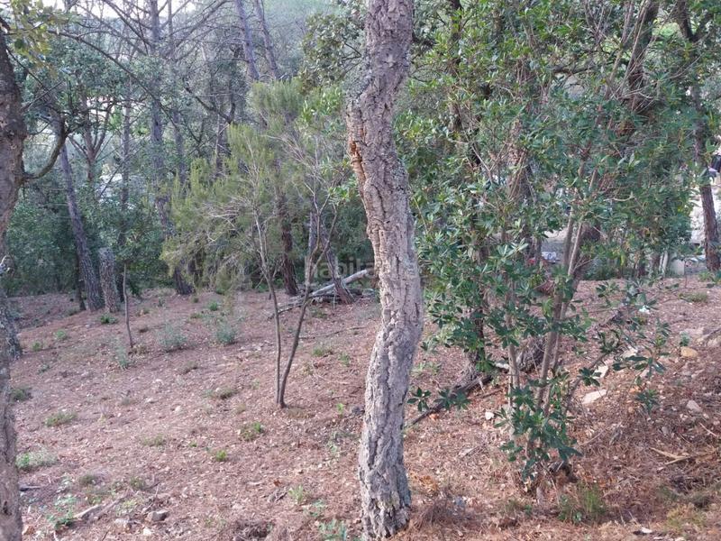 Foto 18cc6a5b-c332-4572-b66d-df6ea4144d68. Terrain résidentiel dans Urbanitzacions del Nord Santa Cristina d´Aro