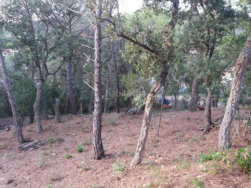 Foto 3abf3b9b-d18c-4370-893d-1a2c9685d544. Terrain résidentiel dans Urbanitzacions del Nord Santa Cristina d´Aro