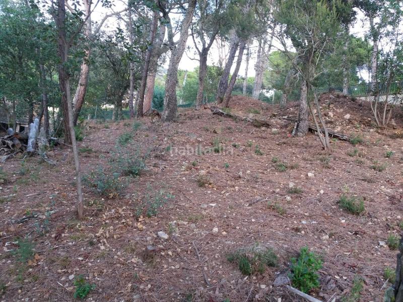 Foto 4c6beb84-125e-4af0-854a-b2aadbbf3168. Terrain résidentiel dans Urbanitzacions del Nord Santa Cristina d´Aro