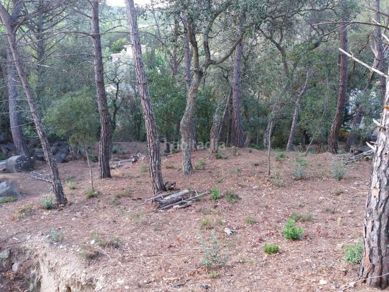 Foto 8de7982d-6135-4769-a976-a58eb3eedb56. Terrain résidentiel dans Urbanitzacions del Nord Santa Cristina d´Aro
