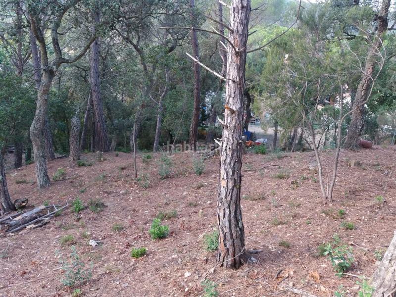Foto a1c447a8-64f1-42a4-ac8d-03cc383f6130. Terrain résidentiel dans Urbanitzacions del Nord Santa Cristina d´Aro