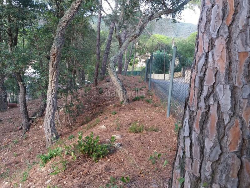 Foto b7e73f38-a84e-48c5-a118-8921f019823b. Terrain résidentiel dans Urbanitzacions del Nord Santa Cristina d´Aro