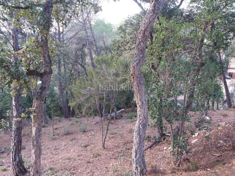 Foto b96718f9-1ca2-4340-9229-b1a75cf19e3c. Terrain résidentiel dans Urbanitzacions del Nord Santa Cristina d´Aro