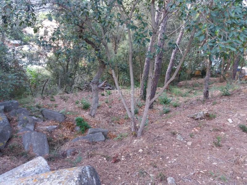 Foto c23628a3-ed61-482b-b6b6-ccd3015f9d32. Terrain résidentiel dans Urbanitzacions del Nord Santa Cristina d´Aro