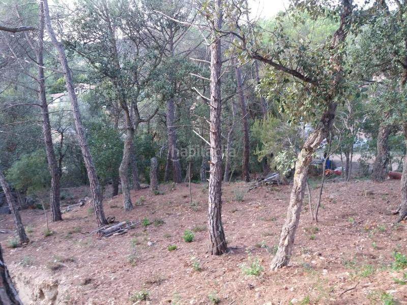 Foto c5d0c24e-706c-4cdf-bc6d-05cfc81aa16a. Terrain résidentiel dans Urbanitzacions del Nord Santa Cristina d´Aro