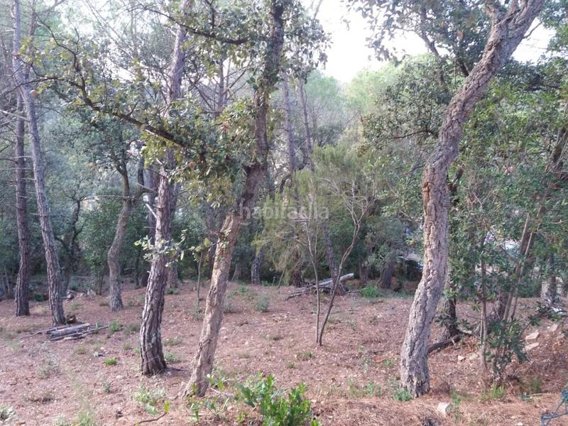 Foto edb70009-5578-4d4d-a059-446e40e1550f. Terrain résidentiel dans Urbanitzacions del Nord Santa Cristina d´Aro
