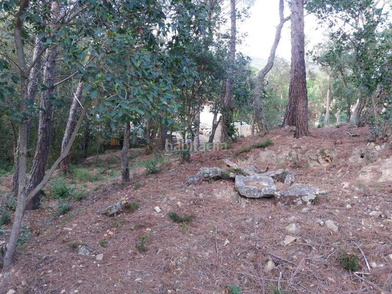 Foto fd6ff6c7-d274-4ad9-8bdf-7481e7c93695. Terrain résidentiel dans Urbanitzacions del Nord Santa Cristina d´Aro