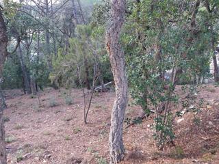 Terreny residencial  Avinguda del bell-lloc. Gran terreno con poca pendiente y con accceso desde dos calles