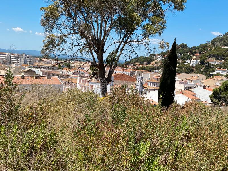 Foto 12b495d8-ba87-465c-8a4e-33e10124d235. Terreno residencial gran terreno de 3500m2 con vistas al mar en el en Estartit
