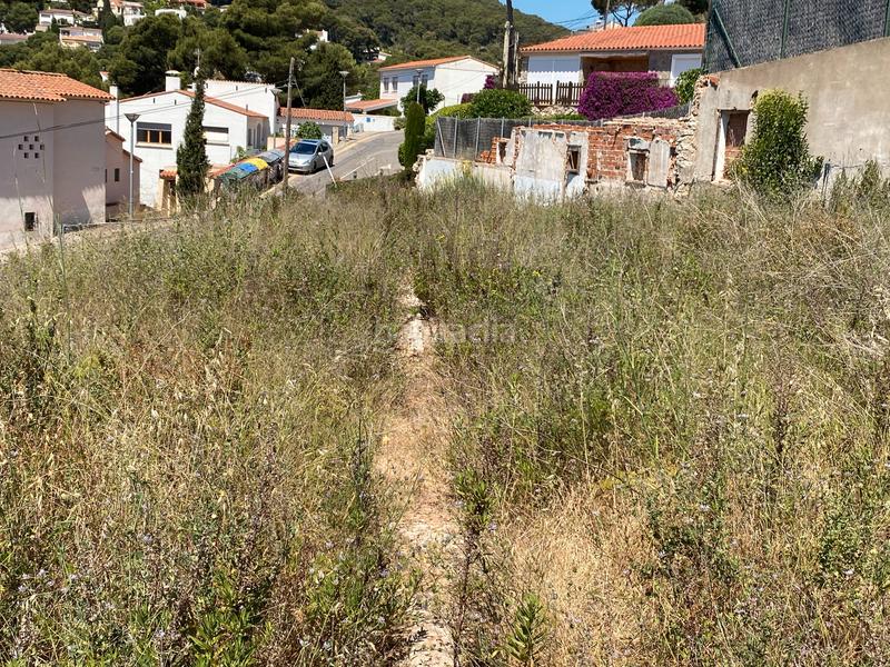 Foto 4948268a-3f80-4fcd-886d-55fd48bc4d43. Terreno residencial gran terreno de 3500m2 con vistas al mar en el en Estartit