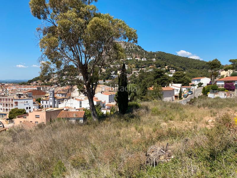 Foto 4fc118f8-0064-4ea4-907c-f8b3d29423b4. Terreno residencial gran terreno de 3500m2 con vistas al mar en el en Estartit