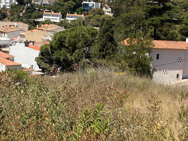 Foto b55d9bef-5e05-48c9-a655-809c41f956db. Terreno residencial gran terreno de 3500m2 con vistas al mar en el en Estartit